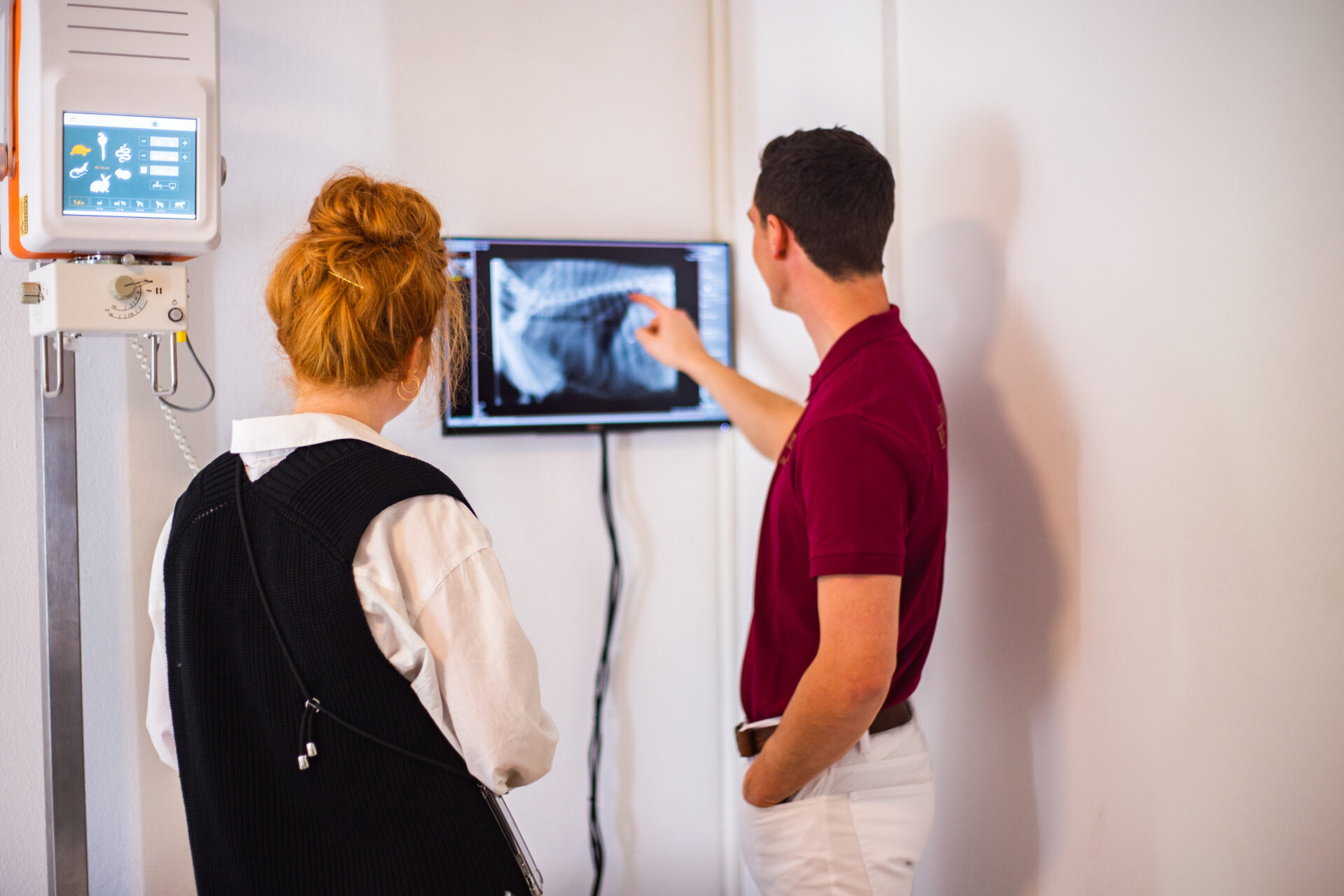 Jo Thießen beobachtet eine Röntgenaufnahme bei den Hoftierärzten