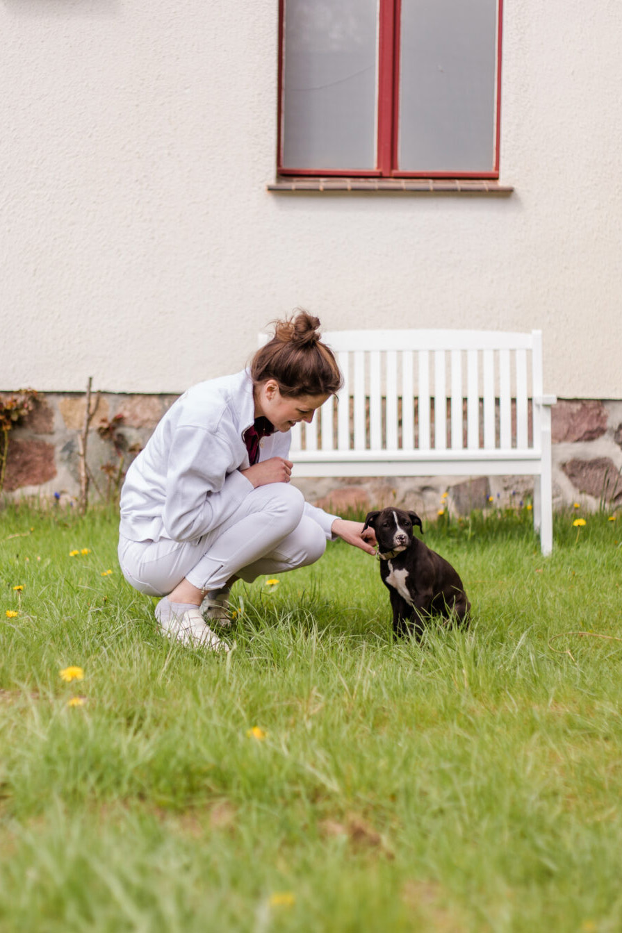 Julia Thießen streichelt einen Hund bei Die Hoftierärzte